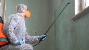 Why You Should Choose Our Mold Remediation Services in Enterprise, UT